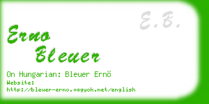 erno bleuer business card